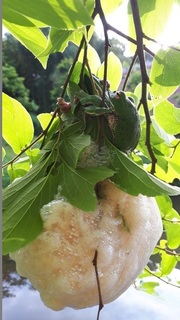 20190611_062235.jpg