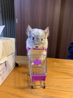 image1.jpeg