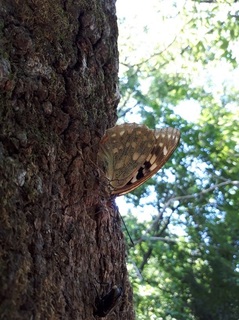 20180801_152516.jpg