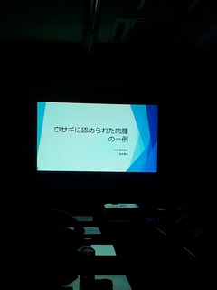 20180826_192229.jpg