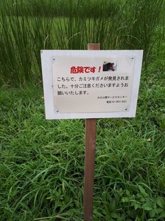 20180829_141611.jpg