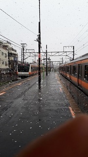 20190410_102817.jpg