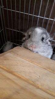 20190513_201948.jpg
