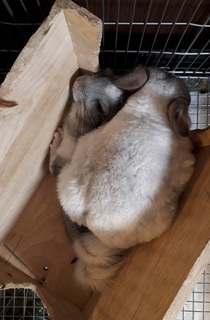 20190522_190615.jpg