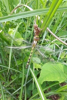20190611_092426.jpg