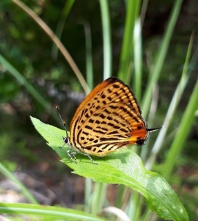 20190611_101740.jpg