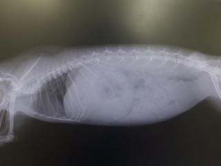 20190729_191454.jpg