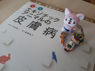 20201114_100921.jpg