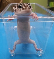 DSCF1551.JPG