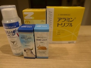 P1180004.JPG